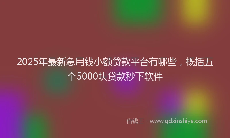 2025年最新急用钱小额贷款平台有哪些，概括五个5000块贷款秒下软件