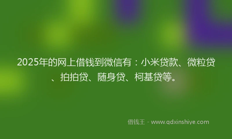2025年的网上借钱到微信有:小米贷款、微粒贷、拍拍贷、随身贷、柯基贷等。