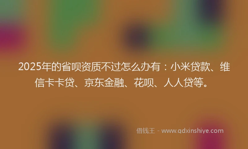 2025年的省呗资质不过怎么办有：小米贷款、维信卡卡贷、京东金融、花呗、人人贷等。