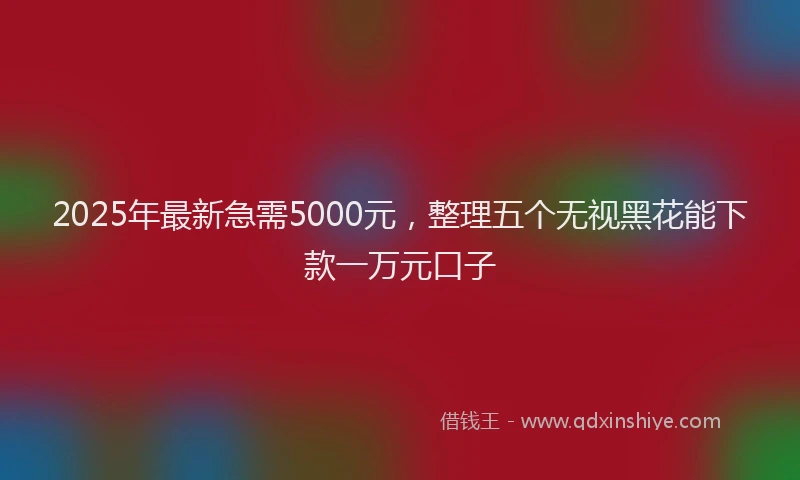 2025年最新急需5000元，整理五个无视黑花能下款一万元口子