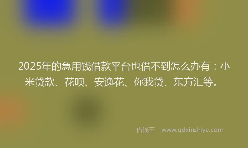 2025年的急用钱借款平台也借不到怎么办有：小米贷款、花呗、安逸花、你我贷、东方汇等。