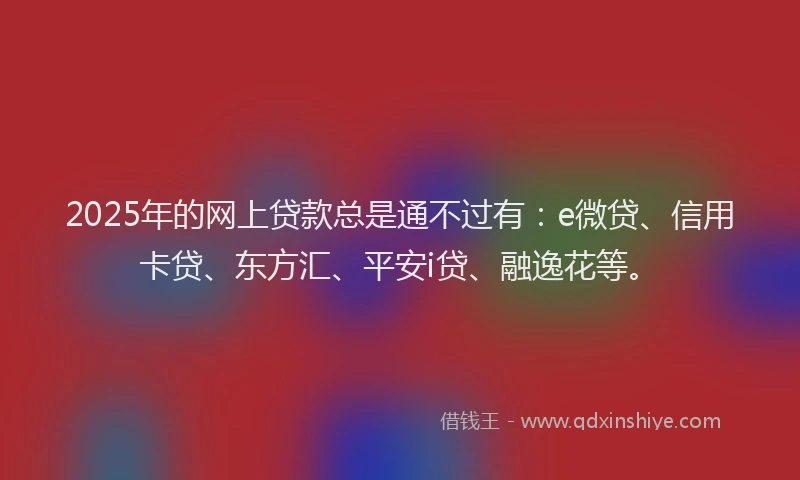 2025年的网上贷款总是通不过有：e微贷、信用卡贷、东方汇、平安i贷、融逸花等。