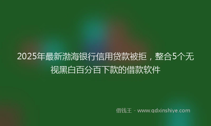 2025年最新渤海银行信用贷款被拒，整合5个无视黑白百分百下款的借款软件
