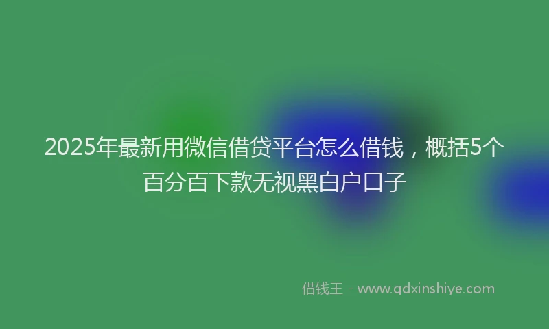 2025年最新用微信借贷平台怎么借钱，概括5个百分百下款无视黑白户口子