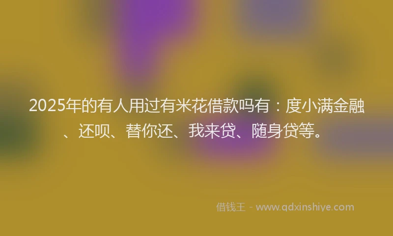 2025年的有人用过有米花借款吗有：度小满金融、还呗、替你还、我来贷、随身贷等。