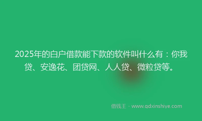 2025年的白户借款能下款的软件叫什么有：你我贷、安逸花、团贷网、人人贷、微粒贷等。