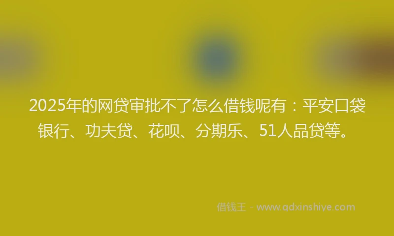 2025年的网贷审批不了怎么借钱呢有:平安口袋银行、功夫贷、花呗、分期乐、51人品贷等。