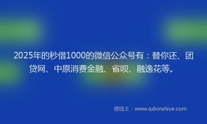 2025年的秒借1000的微信公众号有：替你还、团贷网、中原消费金融、省呗、融逸花等。