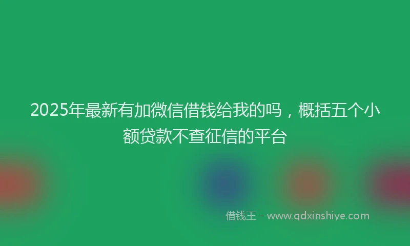 2025年最新有加微信借钱给我的吗，概括五个小额贷款不查征信的平台