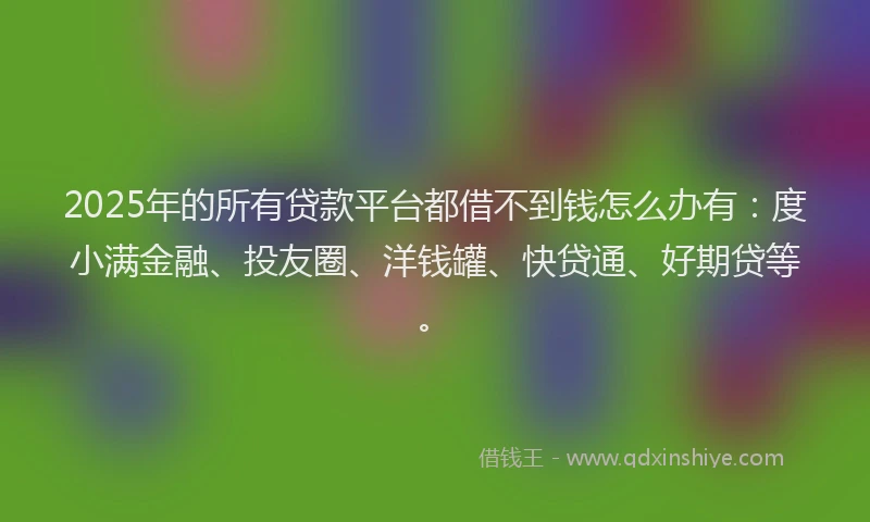2025年的所有贷款平台都借不到钱怎么办有：度小满金融、投友圈、洋钱罐、快贷通、好期贷等。
