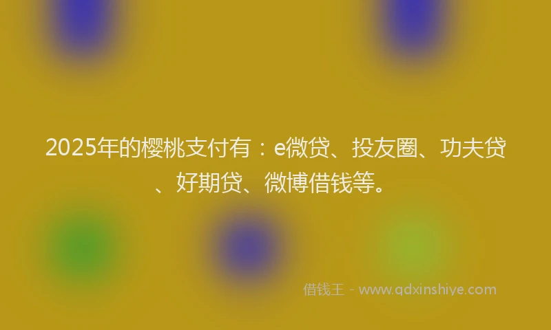 2025年的樱桃支付有：e微贷、投友圈、功夫贷、好期贷、微博借钱等。