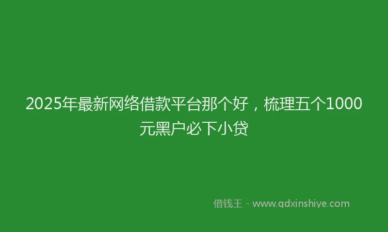 2025年最新网络借款平台那个好，梳理五个1000元黑户必下小贷