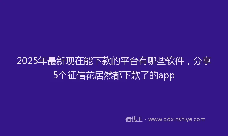 2025年最新现在能下款的平台有哪些软件，分享5个征信花居然都下款了的app