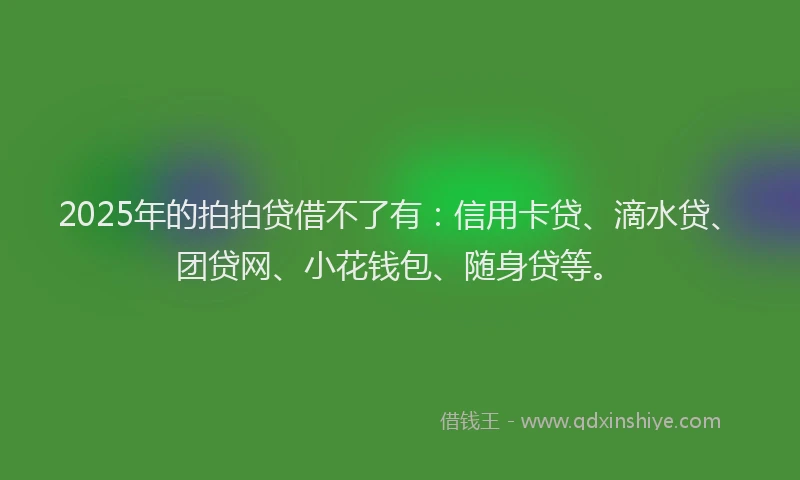 2025年的拍拍贷借不了有：信用卡贷、滴水贷、团贷网、小花钱包、随身贷等。