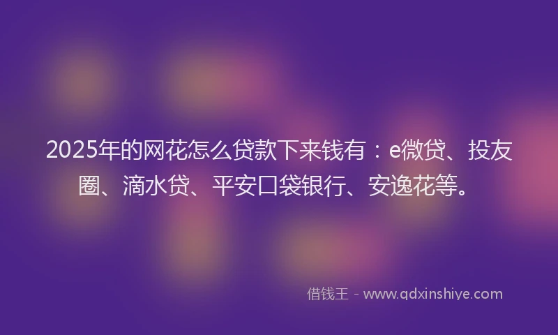 2025年的网花怎么贷款下来钱有：e微贷、投友圈、滴水贷、平安口袋银行、安逸花等。