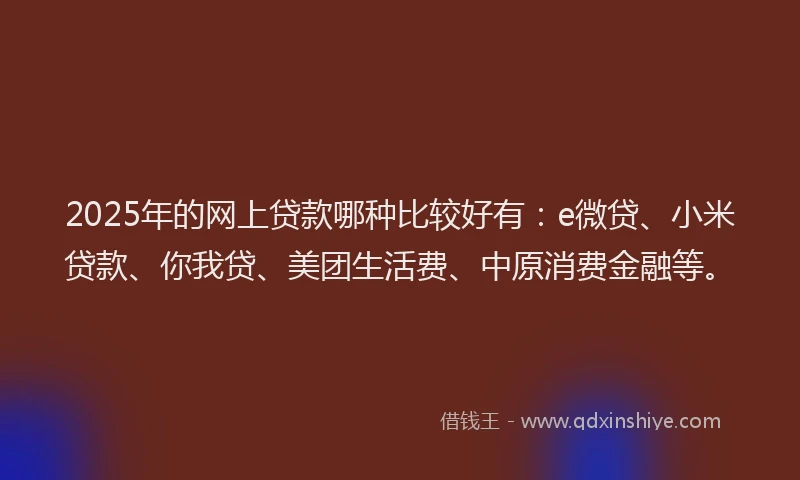 2025年的网上贷款哪种比较好有：e微贷、小米贷款、你我贷、美团生活费、中原消费金融等。