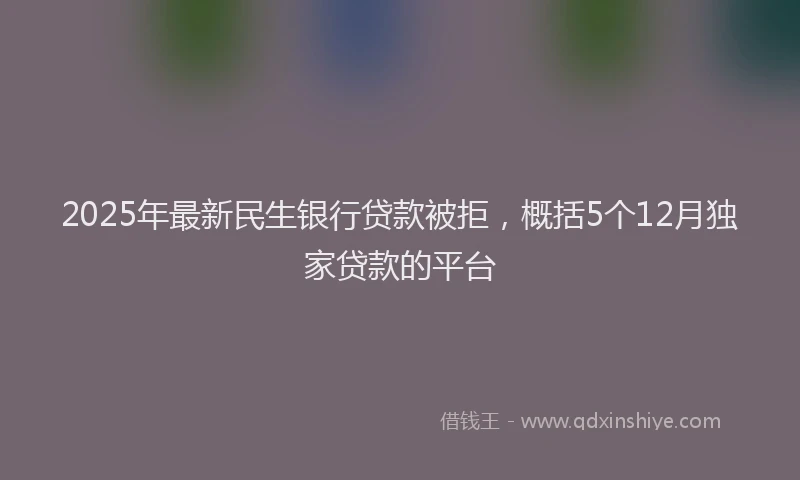 2025年最新民生银行贷款被拒，概括5个12月独家贷款的平台