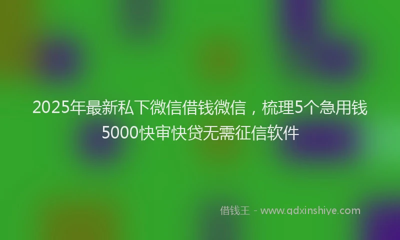 2025年最新私下微信借钱微信，梳理5个急用钱5000快审快贷无需征信软件