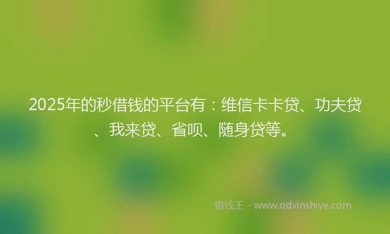 2025年的秒借钱的平台有：维信卡卡贷、功夫贷、我来贷、省呗、随身贷等。