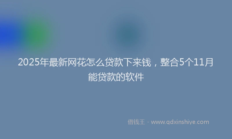 2025年最新网花怎么贷款下来钱，整合5个11月能贷款的软件