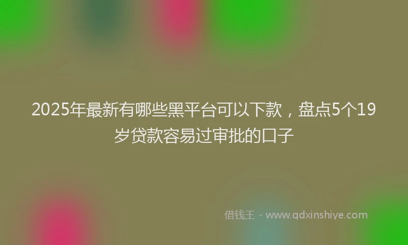 2025年最新有哪些黑平台可以下款，盘点5个19岁贷款容易过审批的口子