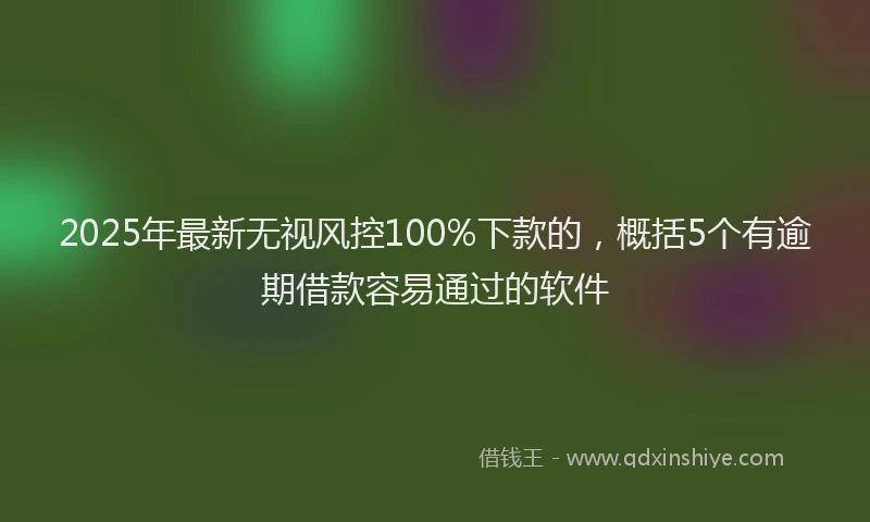 2025年最新无视风控100%下款的，概括5个有逾期借款容易通过的软件