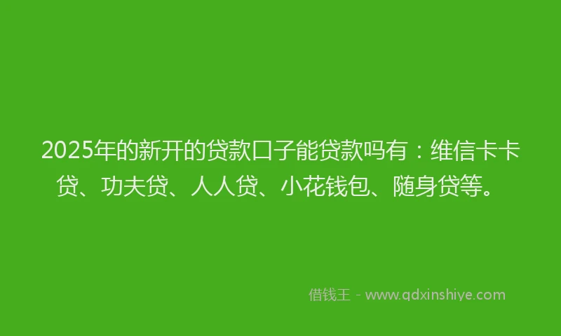 2025年的新开的贷款口子能贷款吗有：维信卡卡贷、功夫贷、人人贷、小花钱包、随身贷等。