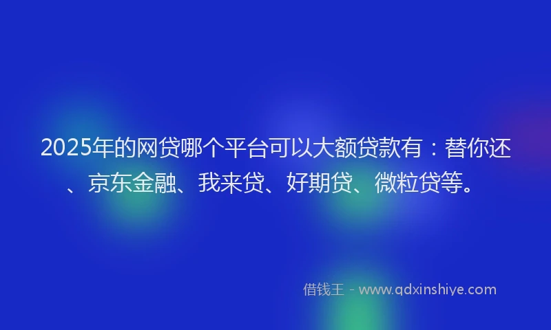 2025年的网贷哪个平台可以大额贷款有：替你还、京东金融、我来贷、好期贷、微粒贷等。