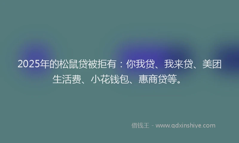 2025年的松鼠贷被拒有：你我贷、我来贷、美团生活费、小花钱包、惠商贷等。