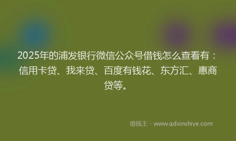 2025年的浦发银行微信公众号借钱怎么查看有：信用卡贷、我来贷、百度有钱花、东方汇、惠商贷等。