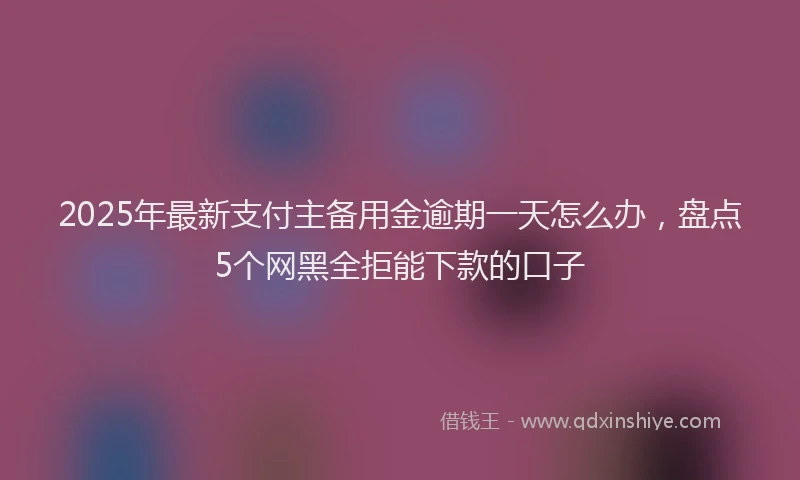 2025年最新支付主备用金逾期一天怎么办，盘点5个网黑全拒能下款的口子