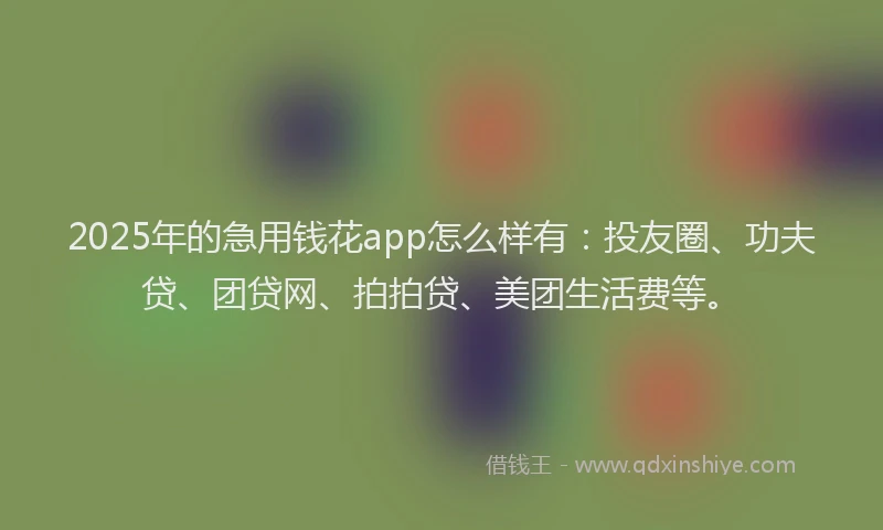 2025年的急用钱花app怎么样有：投友圈、功夫贷、团贷网、拍拍贷、美团生活费等。
