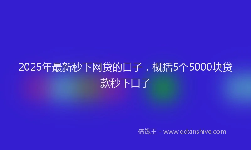2025年最新秒下网贷的口子，概括5个5000块贷款秒下口子