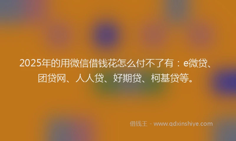 2025年的用微信借钱花怎么付不了有：e微贷、团贷网、人人贷、好期贷、柯基贷等。