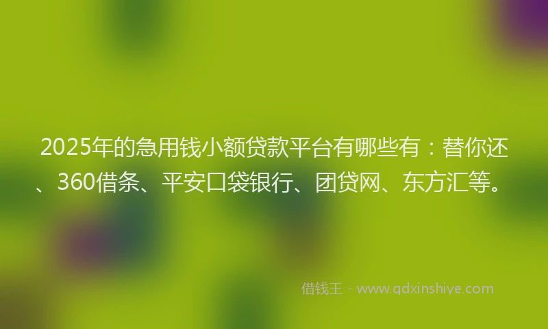 2025年的急用钱小额贷款平台有哪些有：替你还、360借条、平安口袋银行、团贷网、东方汇等。