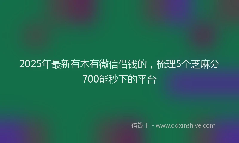 2025年最新有木有微信借钱的，梳理5个芝麻分700能秒下的平台