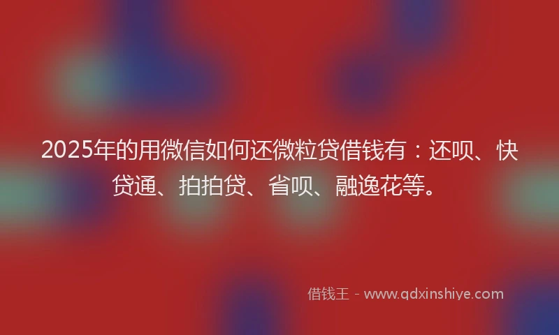 2025年的用微信如何还微粒贷借钱有：还呗、快贷通、拍拍贷、省呗、融逸花等。