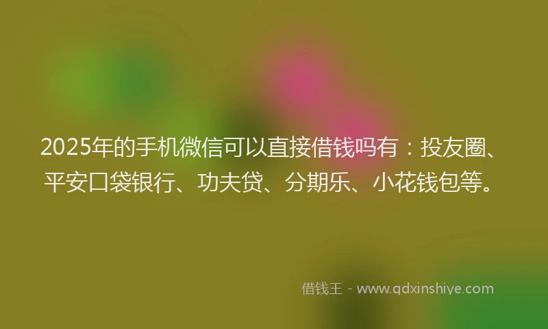 2025年的手机微信可以直接借钱吗有：投友圈、平安口袋银行、功夫贷、分期乐、小花钱包等。