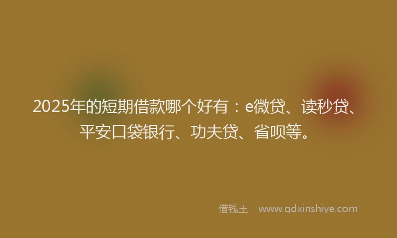2025年的短期借款哪个好有：e微贷、读秒贷、平安口袋银行、功夫贷、省呗等。