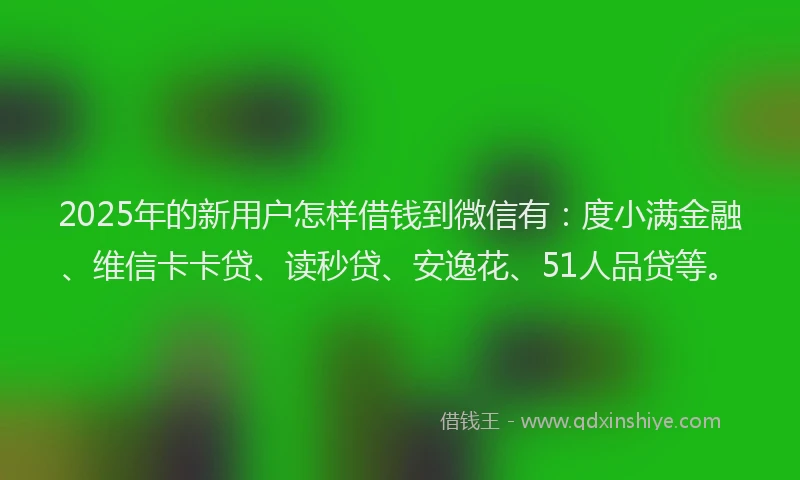 2025年的新用户怎样借钱到微信有：度小满金融、维信卡卡贷、读秒贷、安逸花、51人品贷等。