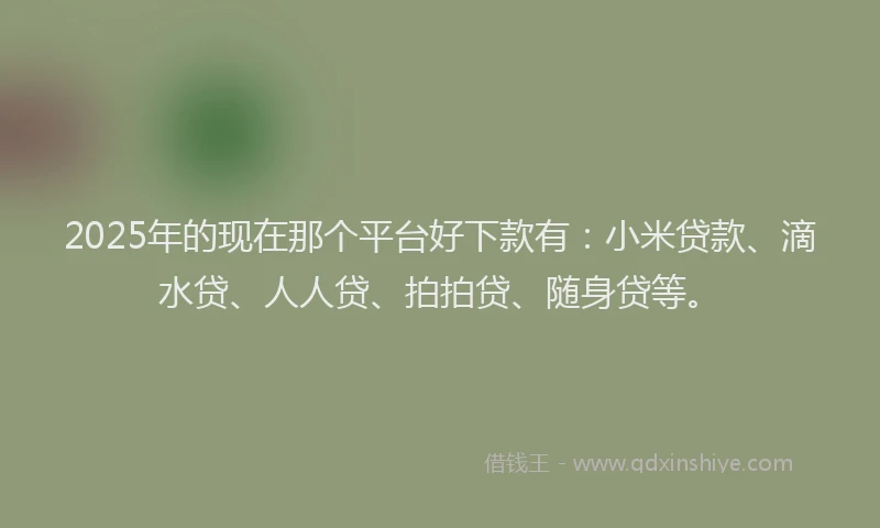 2025年的现在那个平台好下款有：小米贷款、滴水贷、人人贷、拍拍贷、随身贷等。