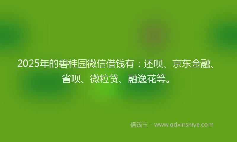 2025年的碧桂园微信借钱有：还呗、京东金融、省呗、微粒贷、融逸花等。