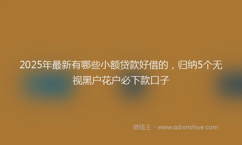 2025年最新有哪些小额贷款好借的，归纳5个无视黑户花户必下款口子