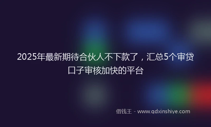 2025年最新期待合伙人不下款了,汇总5个审贷口子审核加快的平台