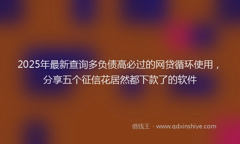 2025年最新查询多负债高必过的网贷循环使用，分享五个征信花居然都下款了的软件
