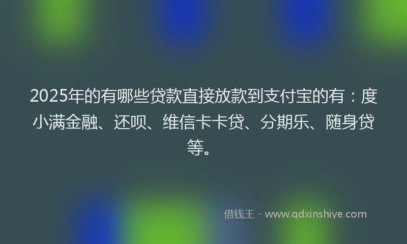 2025年的有哪些贷款直接放款到支付宝的有：度小满金融、还呗、维信卡卡贷、分期乐、随身贷等。