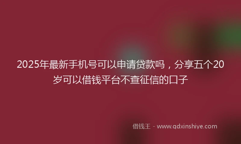 2025年最新手机号可以申请贷款吗，分享五个20岁可以借钱平台不查征信的口子