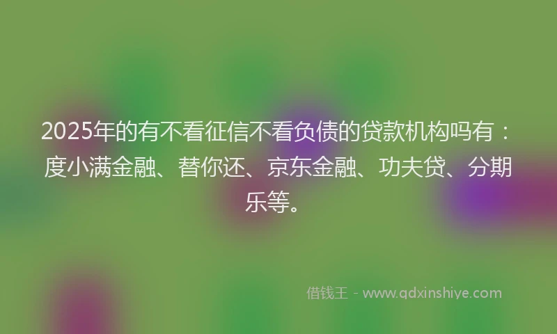 2025年的有不看征信不看负债的贷款机构吗有：度小满金融、替你还、京东金融、功夫贷、分期乐等。