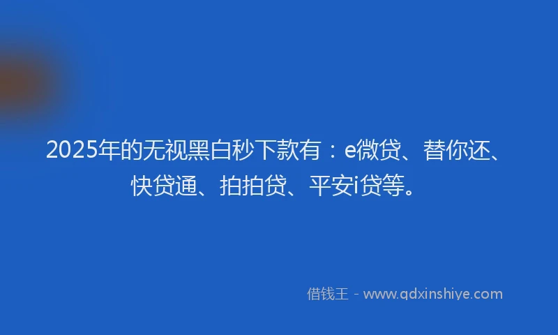 2025年的无视黑白秒下款有：e微贷、替你还、快贷通、拍拍贷、平安i贷等。