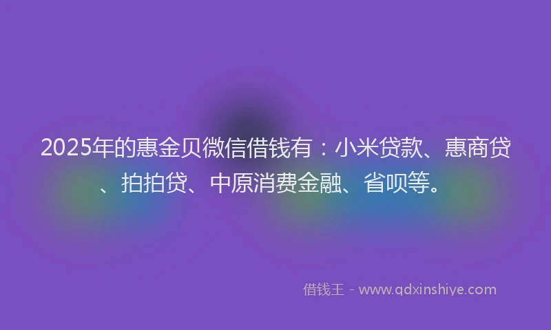 2025年的惠金贝微信借钱有：小米贷款、惠商贷、拍拍贷、中原消费金融、省呗等。